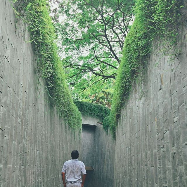 Fort Canning Park Tree Tunnel 