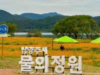꽃이 만개한 물의 정원