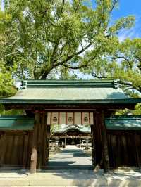 【山口県】日本鶏 黒柏発祥の地