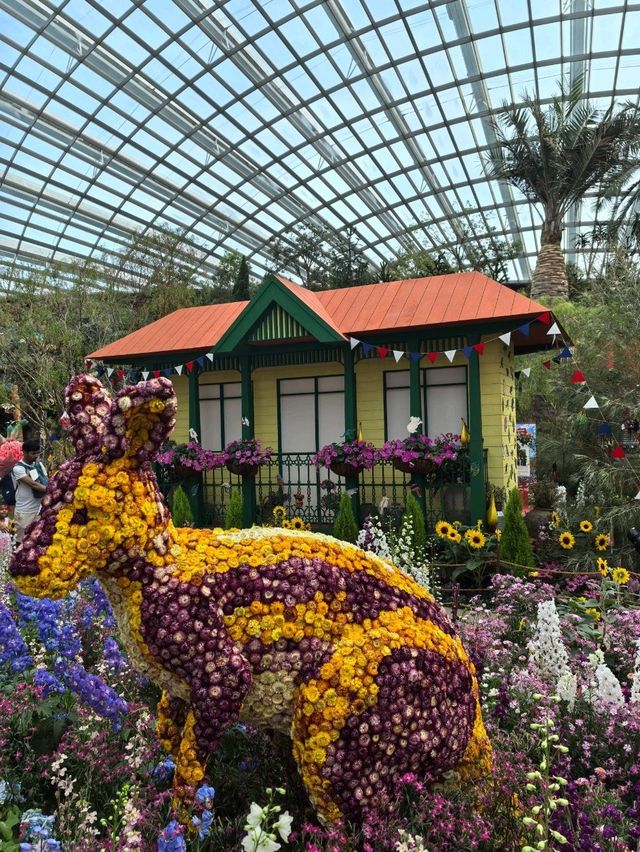 Australian Carnival of Flowers at Flower Dome