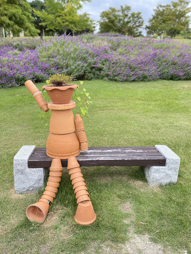 【淡路島】秋の花畑を求めて