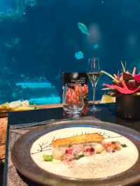Aquarium Restaurant in Bali