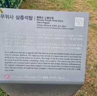 가을엔 월출산 무위사로 