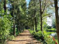 Baanna Kafe คาเฟ่ กลางทุ่งนา บ้านโป่ง ราชบุรี