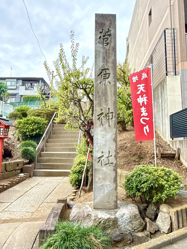 【東京都】見晴らしの良い高台に鎮座