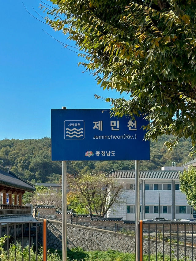공주, 가을맞이 산책하기 좋은 <제민천>
