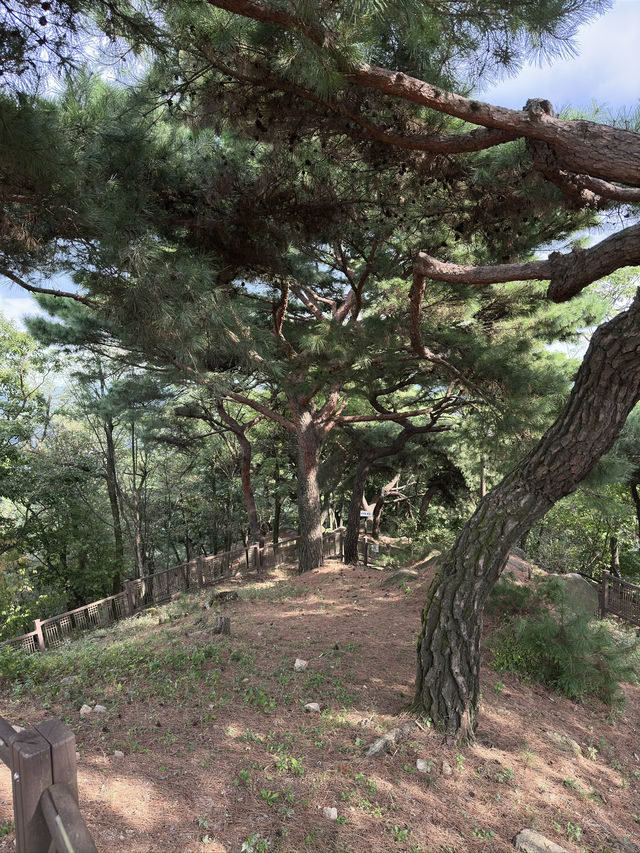 Hike in Seoul that is mostly stairs!