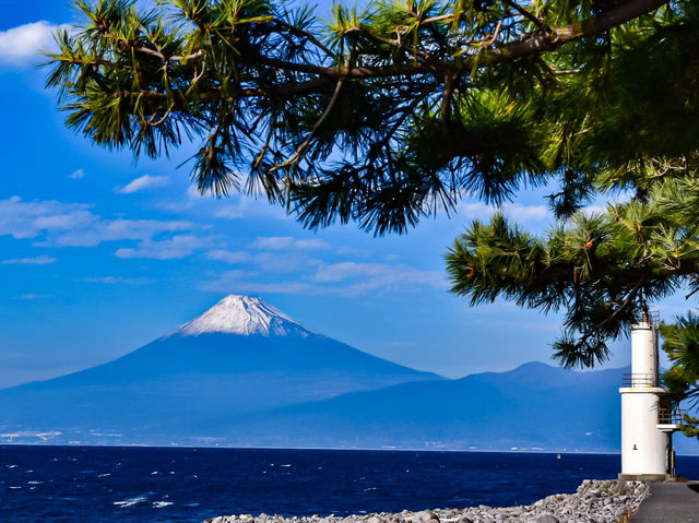 【静岡】富士山と鳥居のコンビが絶景！意外と知らない穴場スポット✨