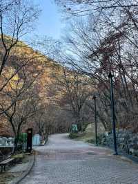 산책하기 좋은 ‘강천산 군립공원’