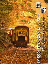 【長野】アメリカの紅葉を彷彿とさせる絶景🍁攻略&周辺観光情報付き✨