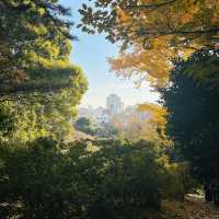 清流公園：詩意之地 🍂