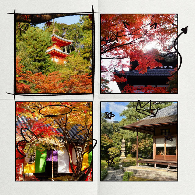 聖福寺：秋意盎然🍂