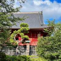 景點推薦：上野東照宮，夏日綠意中的古老神社