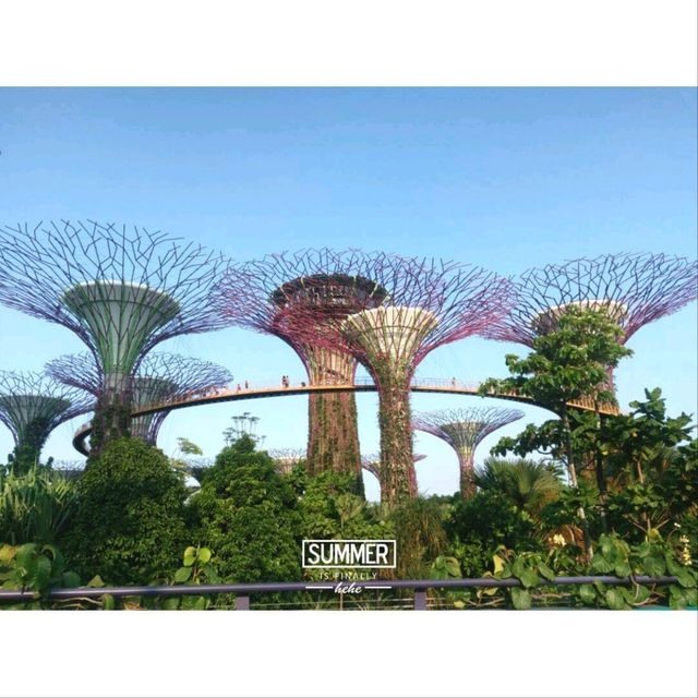 ที่เที่ยว เช็คอินท์ สิงคโปร์