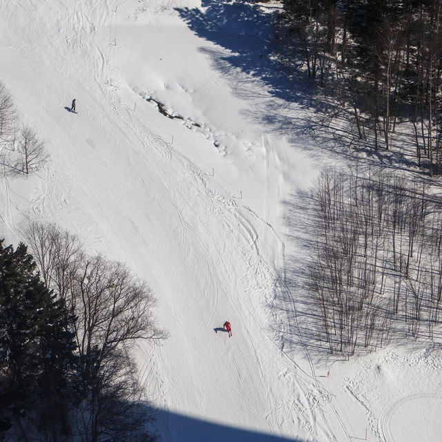 1st time skiing at Hoshino Tomamu