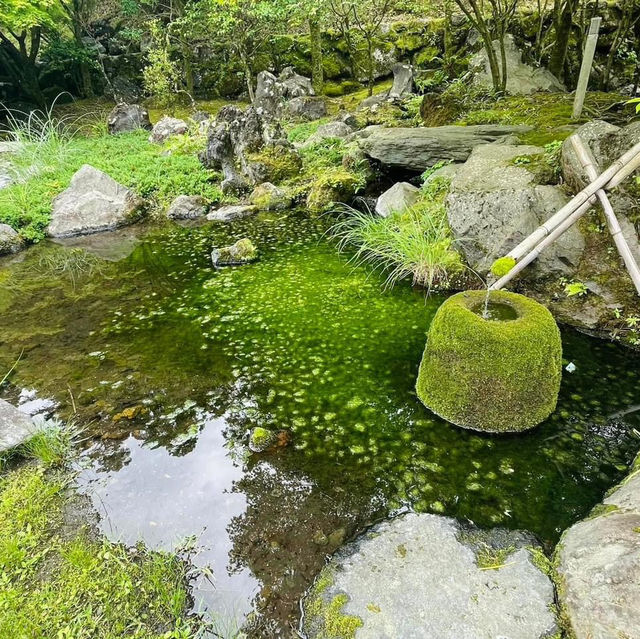 霧島神宮