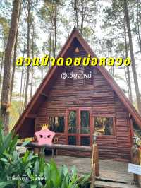 สวนป่าดอยบ่อหลวง ที่พักบรรยากาศดีเชียงใหม่