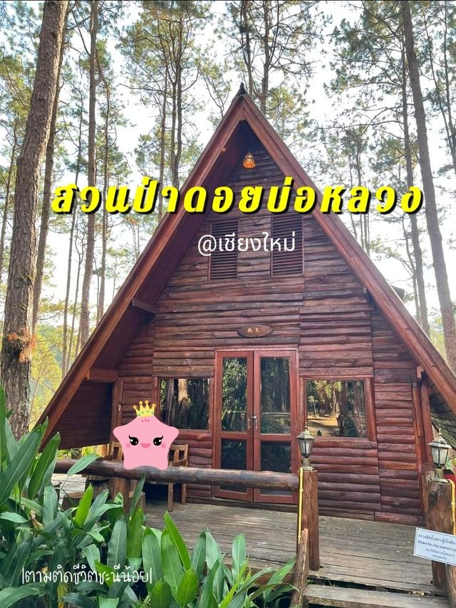 สวนป่าดอยบ่อหลวง ที่พักบรรยากาศดีเชียงใหม่