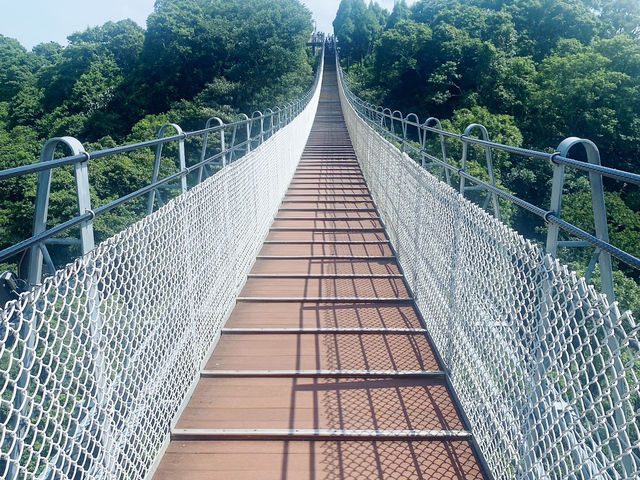 南投猴探井天空之橋 ✨ 高空中的迷人步道 