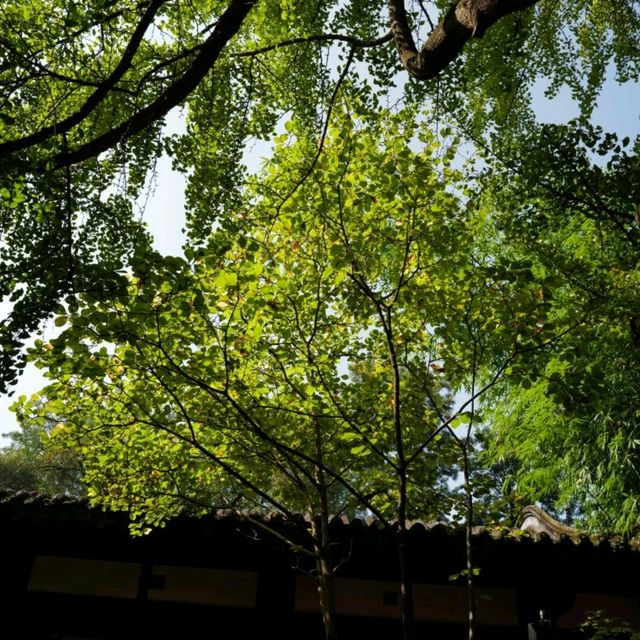 Vibrant Serenity at Wu Hou Shrine in October