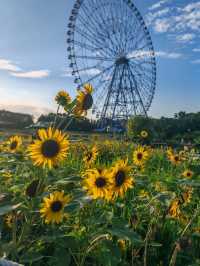 景點推薦：葛西臨海公園——東京灣的海濱樂園