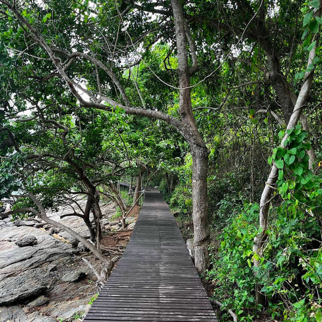 อุทยานแห่งชาติเขาแหลมหญ้า-หมู่เกาะเสม็ด ✨🍃🌊