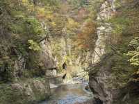 ใบไม้เปลี่ยนสีที่ Naruko Gorge 