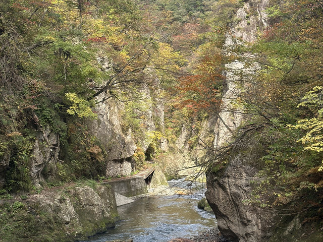 ใบไม้เปลี่ยนสีที่ Naruko Gorge 