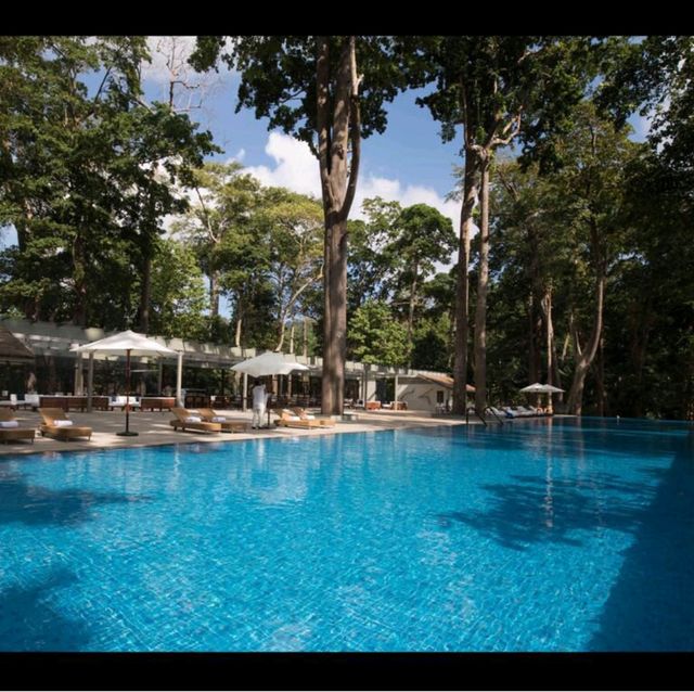  Unraveling the Emerald Isle: A Blissful Havelock Island Getaway