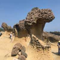 Yehliu Geopark: A Surreal Encounter with Nature's Sculptures