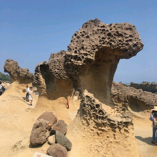 Yehliu Geopark: A Surreal Encounter with Nature's Sculptures