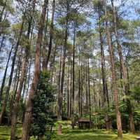 Bandung Itinerary