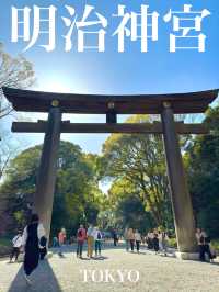 東京　東京観光　日本一参拝者数の明治神宮に行ってきた！