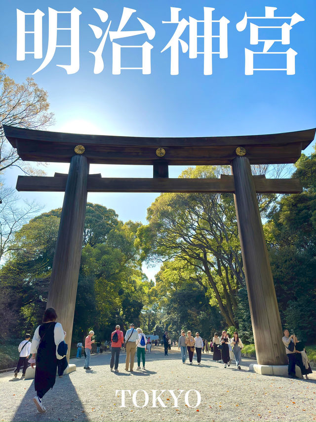 東京　東京観光　日本一参拝者数の明治神宮に行ってきた！