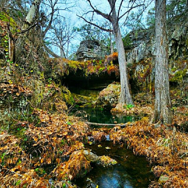 @ WESTCAVE OUTDOOR DISCOVERY CENTER.