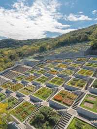 【建築美】安藤忠雄が設計したリゾート施設『淡路夢舞台』🏵️🌷🪻