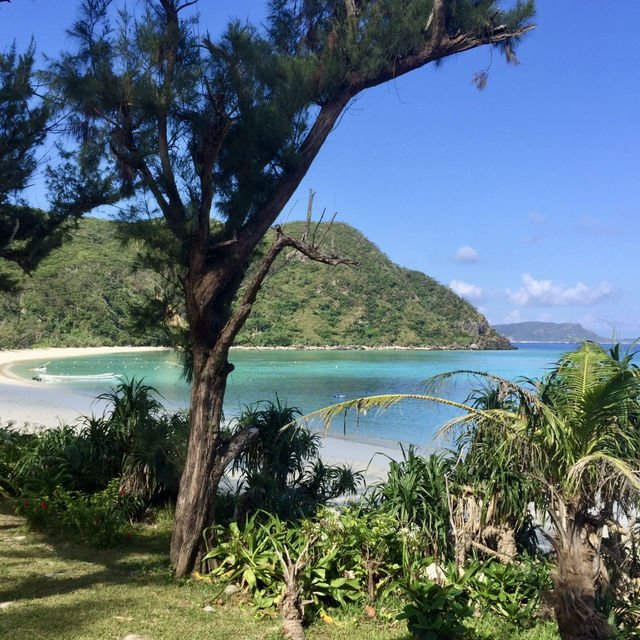 【渡嘉敷島】美しい渡嘉敷島のビーチ✨