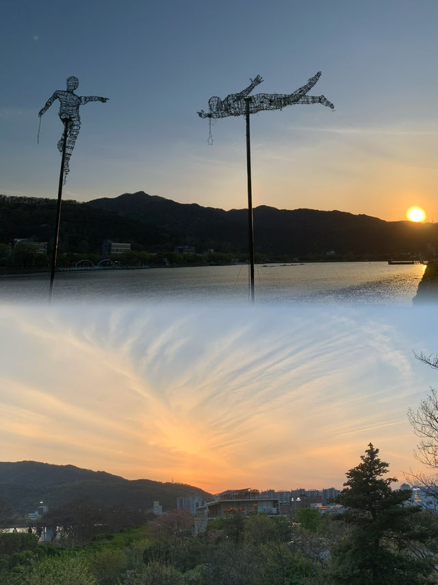 Evening Bliss at Suseongmot Lake: Blossoms, Swan Boats, and Sunset