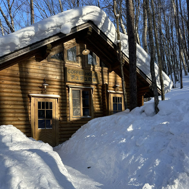 🧚‍♀️ 요정들의 겨울 왕국, 후라노 닝구르테라스 ❄️