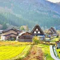 世界遺產白川鄉合掌村遊覽攻略