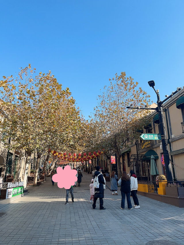 겨울 칭다오 여행😄😄