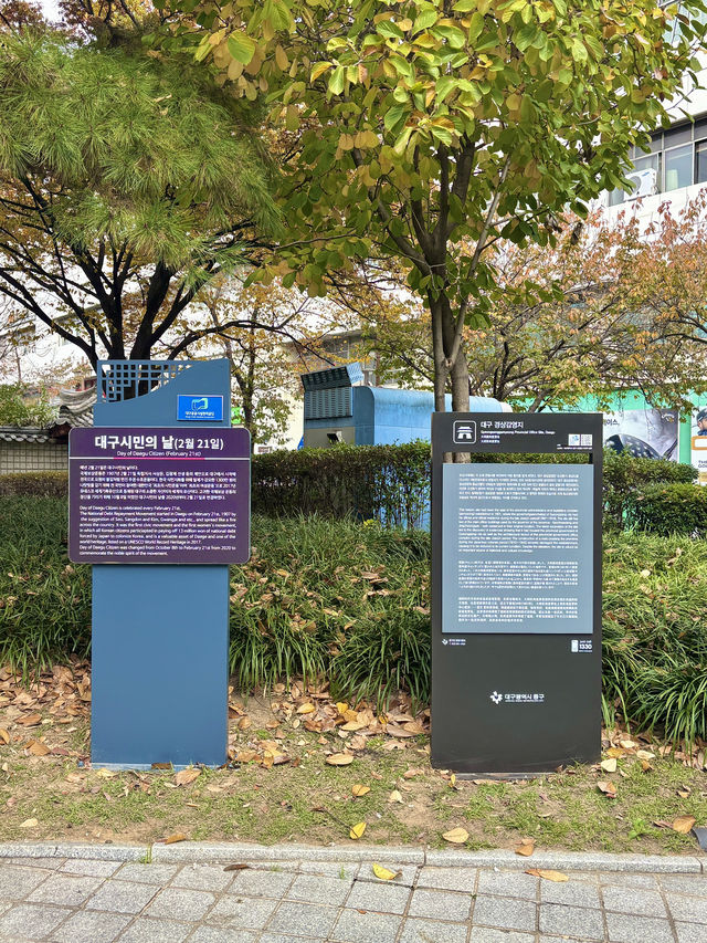 대구에서 산책하기 좋은 역사가 있는 공원🌳💚