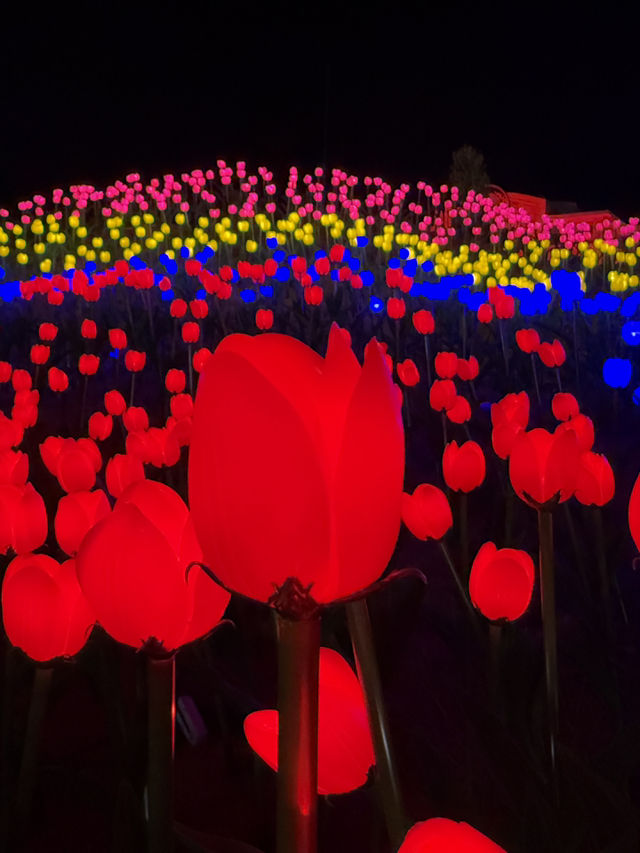 Light in the Garden แสงในสวนสวยครั้งแรกจันทบุรี