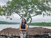 อุทยานแห่งชาติภูผายล