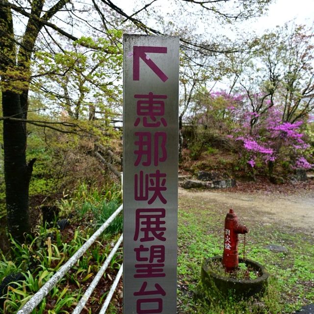 日本中部賞櫻 - 惠那峽