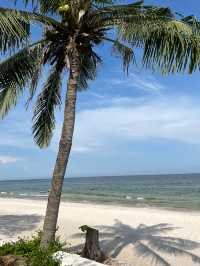 Drip Rim Lay  🌊🌴 คาเฟ่สุดชิลริมทะเล