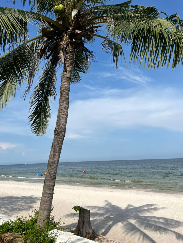 Drip Rim Lay  🌊🌴 คาเฟ่สุดชิลริมทะเล