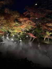 A sea of clouds in Japanese garden