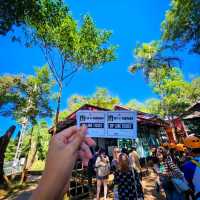 ไปเล่น zipline ที่น้ำตกตาดฟาน ประเทศลาว