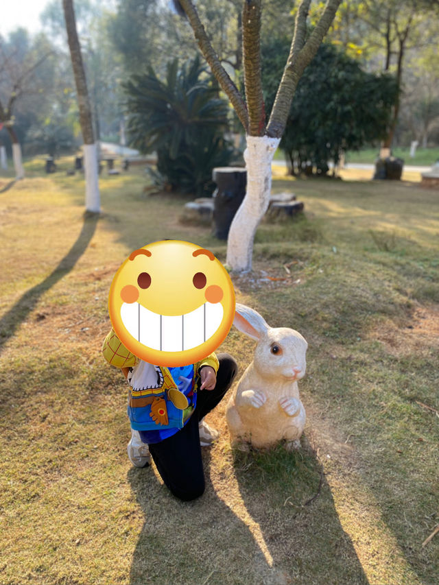 落羽杉與溫泉。森呼吸